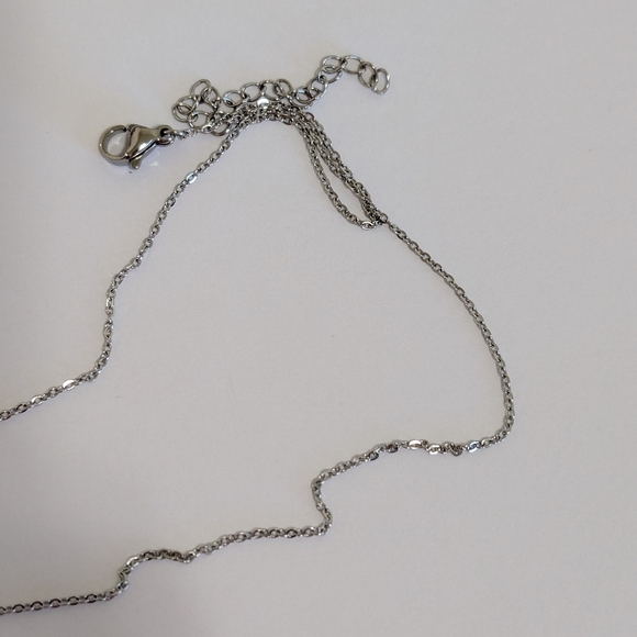 Stainless Steel Chain With Rhodonite Pendant - Picture 5 of 6